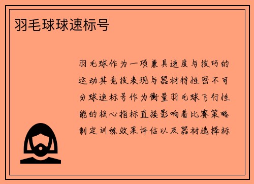 羽毛球球速标号